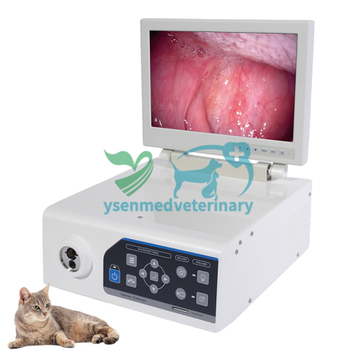 Combined Veterinary Video Endoscope System YSNJ-100VET-P