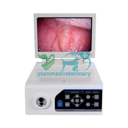 Combined Veterinary Video Endoscope System YSNJ-100VET-P