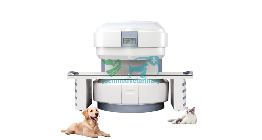 From Tiny Mice to Large Dogs: How the YSMRI-035 VET 0.35T Veterinary MRI Adapts to Every Animal Patient