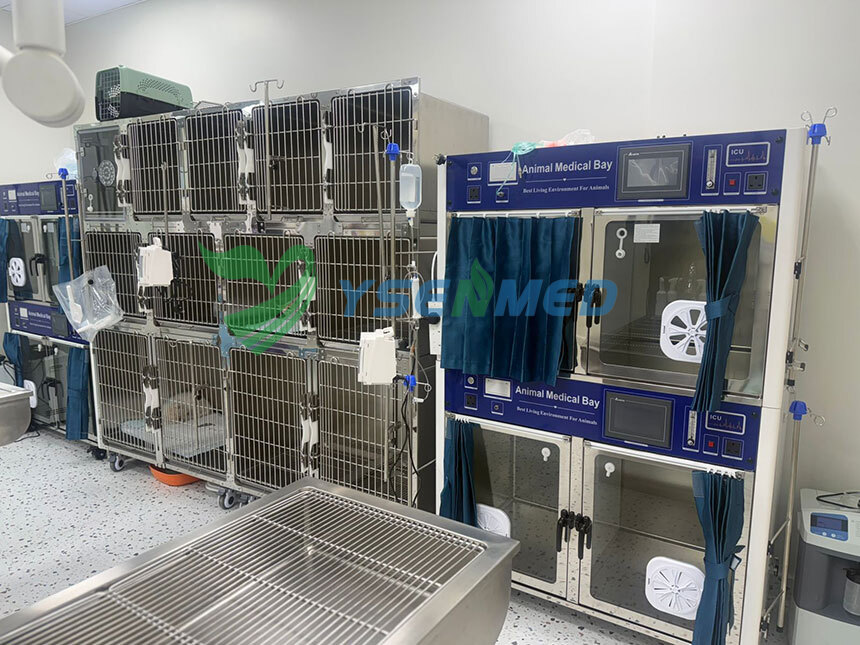 Saudi Veterinarian Equips a New Clinic with YSENMED Veterinary Equipment and Plans More Purchases