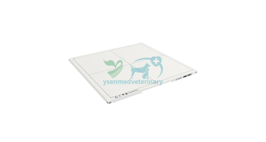 From Stable Pets to Large Animals: Why the YSFPD-M1717V 17 x 17-Inch Veterinary Wireless Flat Panel Detector Fits Every Veterinary Practice