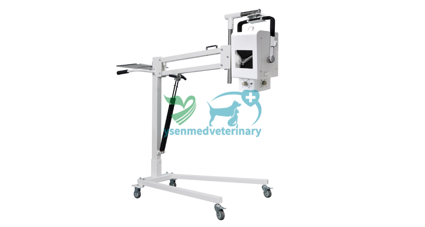 Why Choose an 8kW 160mA Portable X-ray Unit? A Closer Look at the YSX080-A Vet
