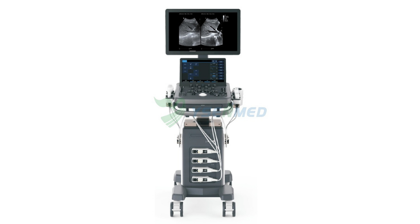 Need Smarter Vet Imaging? Meet the YSB-VIV40 VET Veterinary Portable Color Doppler Ultrasound System