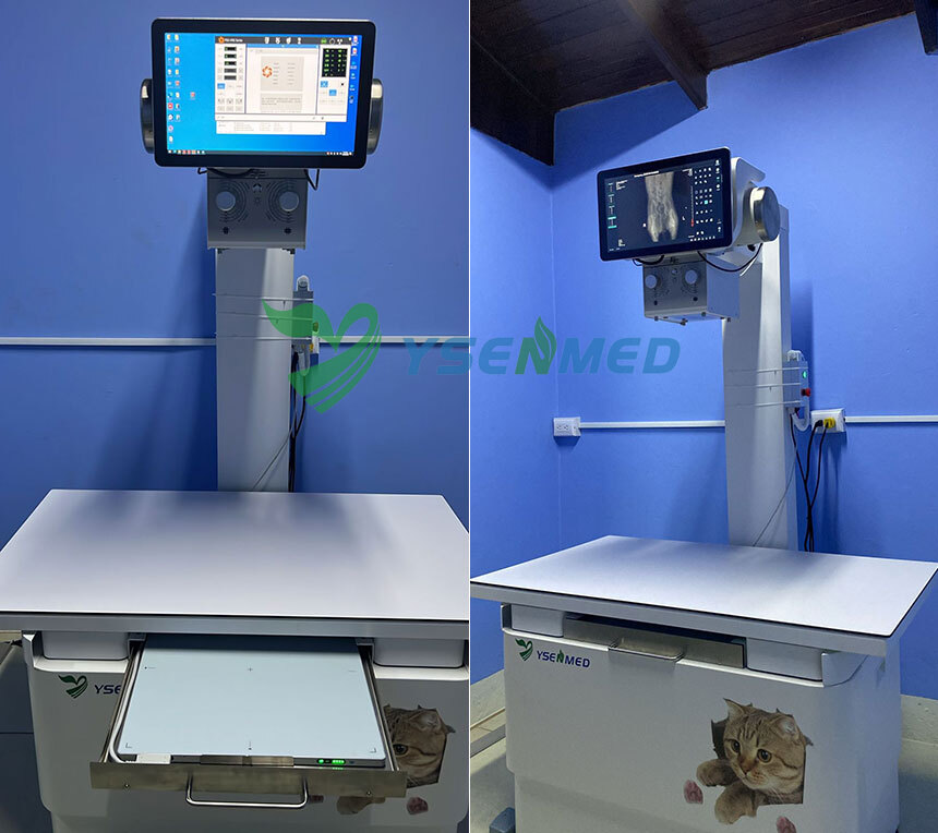 Costa Rican Veterinary Clinic Chooses YSDR-VET320 32kW Digital X-Ray Machine and Praises YSENMED's Professional After-Sales Service