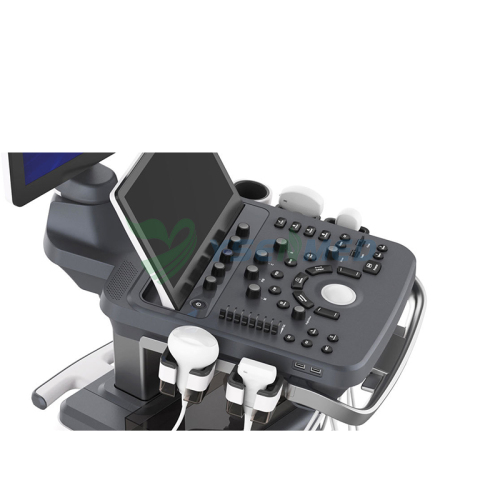 Veterinary Portable Color Doppler Ultrasound System YSB-VIV40 VET