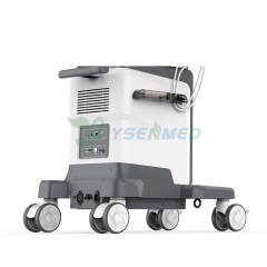 Veterinary Portable Color Doppler Ultrasound System YSB-VIV40 VET