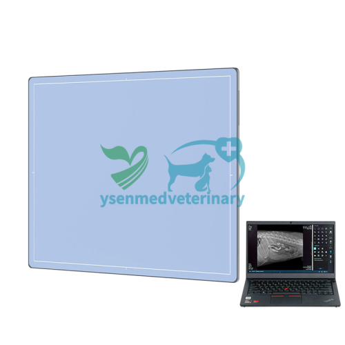 14*17 inch 35*43cm Veterinary X-ray Wireless Flat Panel Detector YSFPD3543W VET