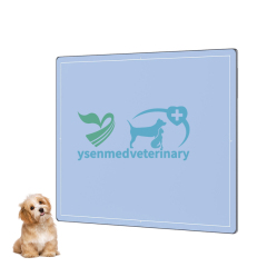 14*17 inch 35*43cm Veterinary X-ray Wireless Flat Panel Detector YSFPD3543W VET