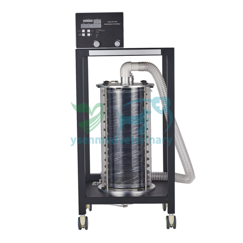 Large Animal Anesthesia Ventilator YSAV560G VET
