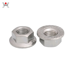 Flange nuts factory