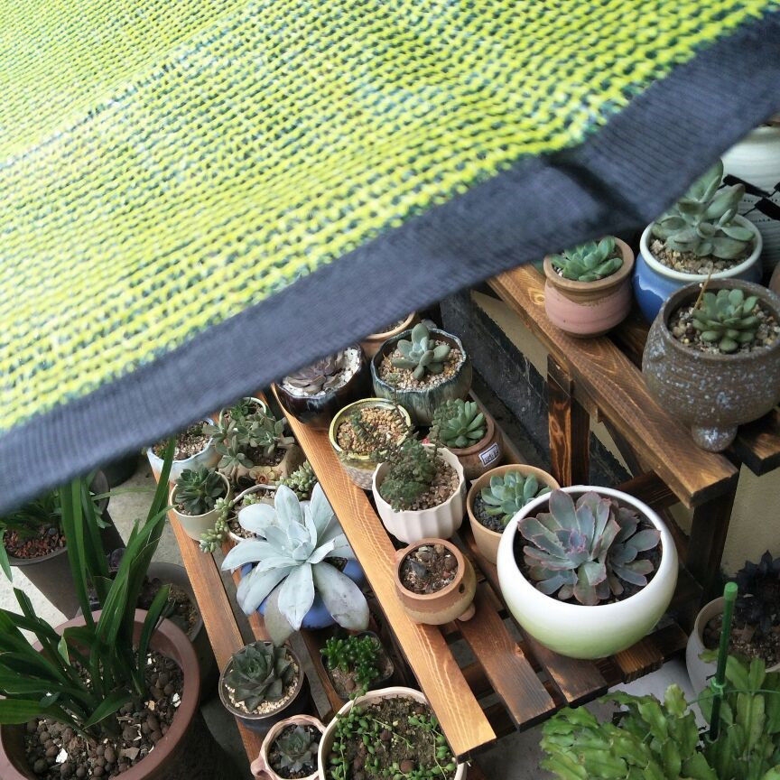 Gardening Plant Net Mesh Sun Shade Cover 50% Blocking Hot-Reduce Sun-Burning Resistant