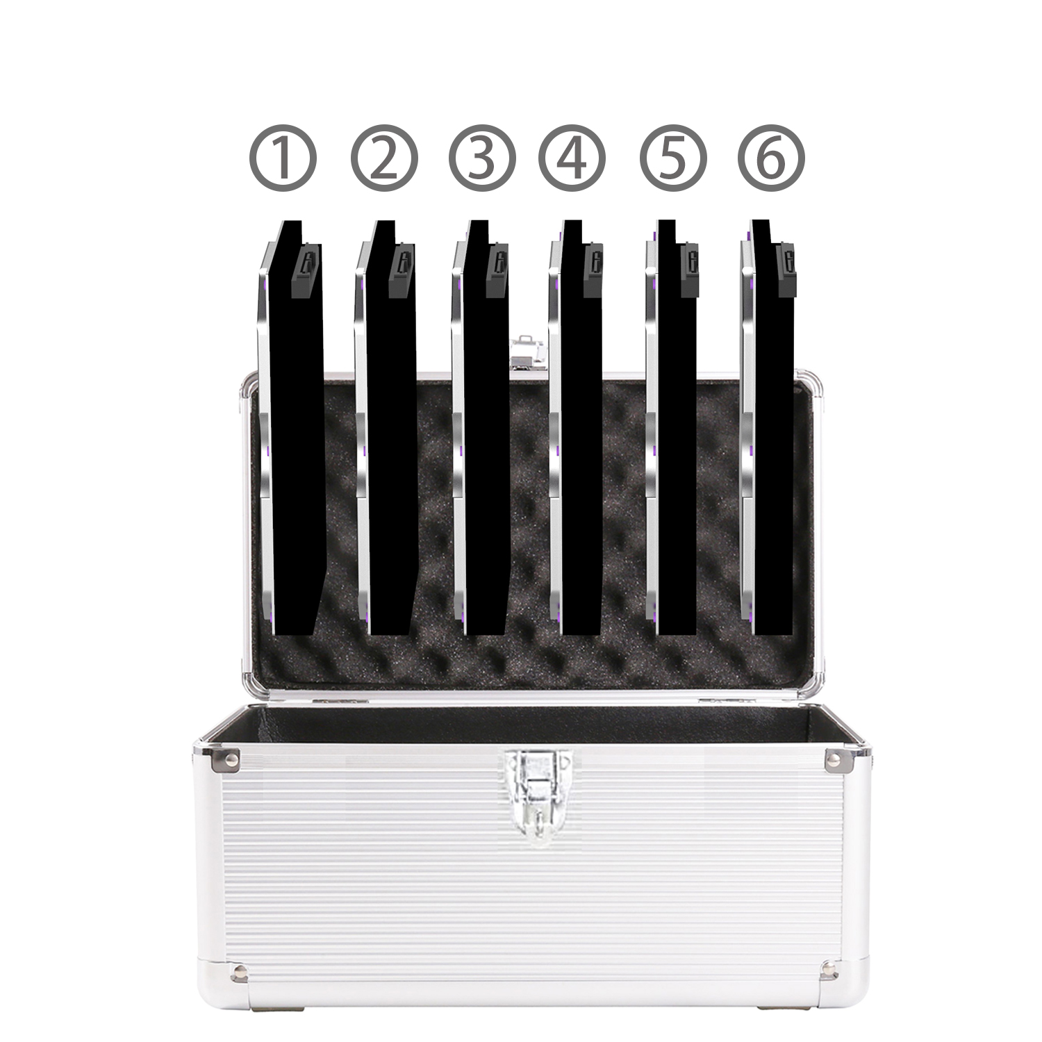 B6 6-slot Storage Box for 3.5 Inch Internal Hard Disk, Portable