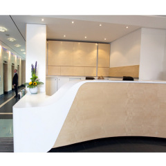 Special Design Spa Furniture Modern Reception Desk Cash Table