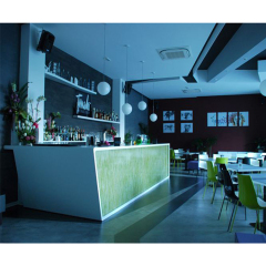Slad Food Glass Bar Manufacturer Led Bar Counter with Strong Quality