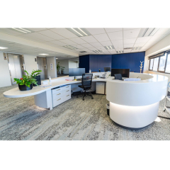 Led Round Office Waiting Rooms Corian Reception Desk for Animal Hospital
