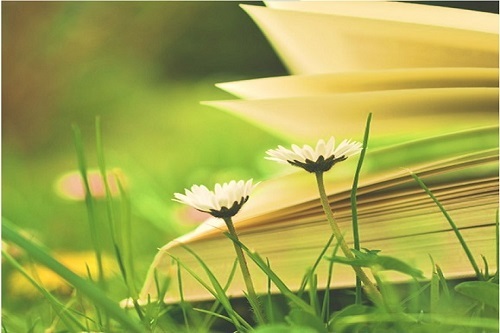 P1-P6 Chinese Enrichment