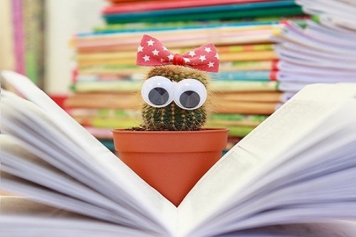 Pre-School Chinese Foundation