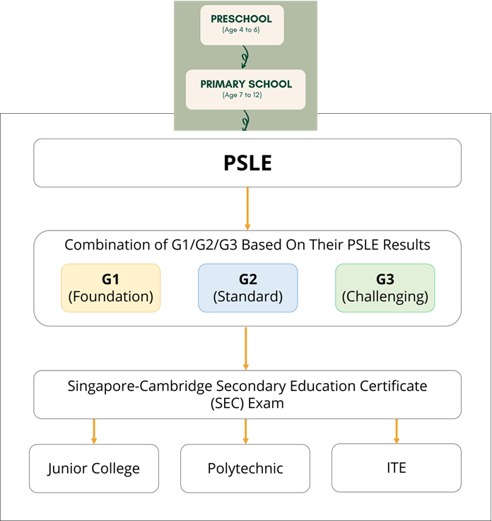 Advantage Math Training With AI Assistance