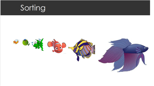 Python for AI Application Course (13-Class Course (1.5 hours per class))