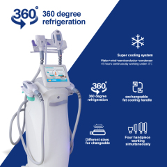 360 cryolipolysis slimming machine