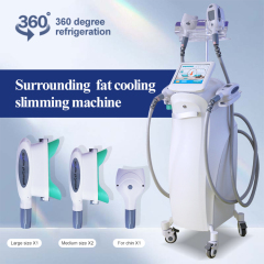360 cryolipolysis slimming machine