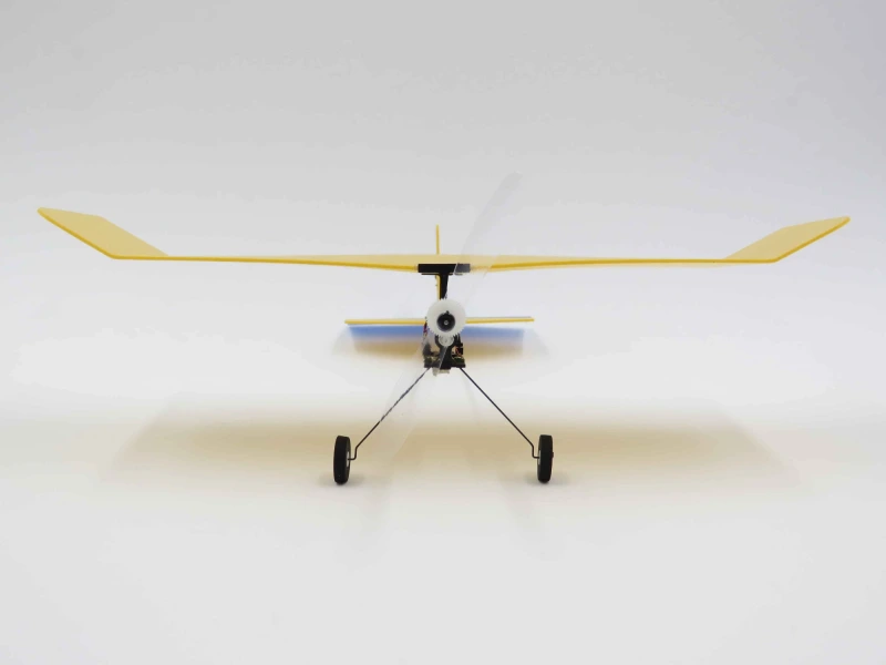 Bumble Bee Micro Indoor RC Airplane