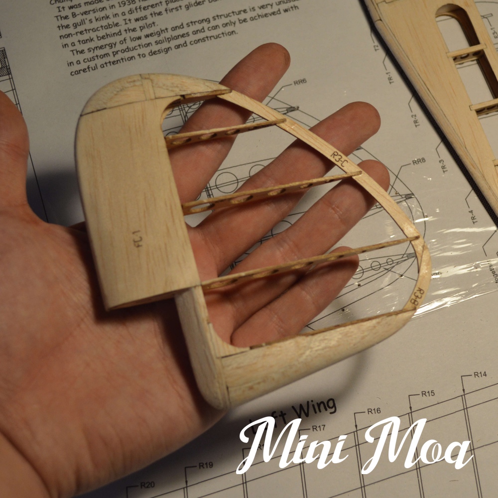 Mini Moa kit 1422mm Magnificent Old School Glider Tony Ray's