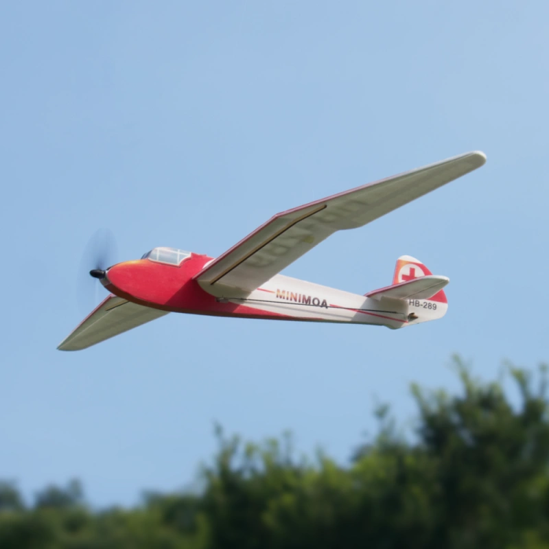 Minimoa Glider gull-wing 700mm micro RC aircraft kit