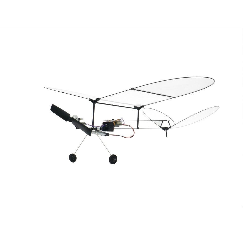 Butterfly V1-2024