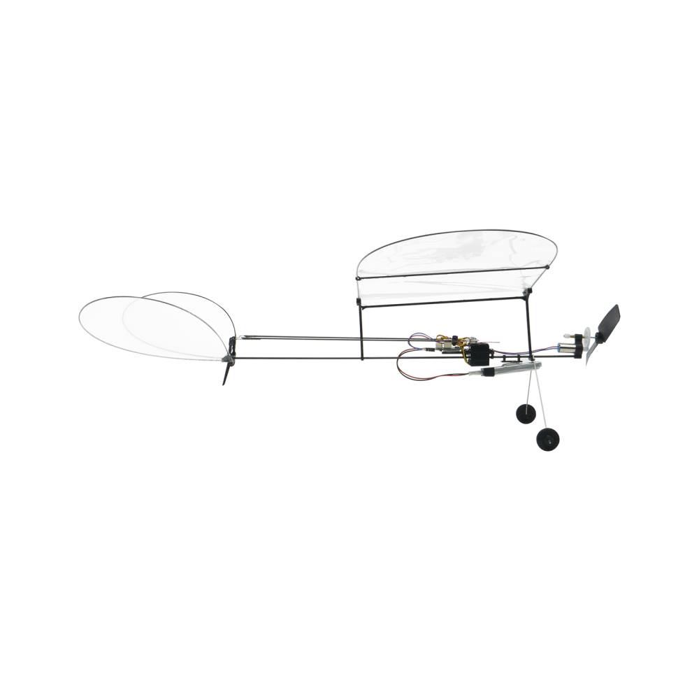 Butterfly V1-2024