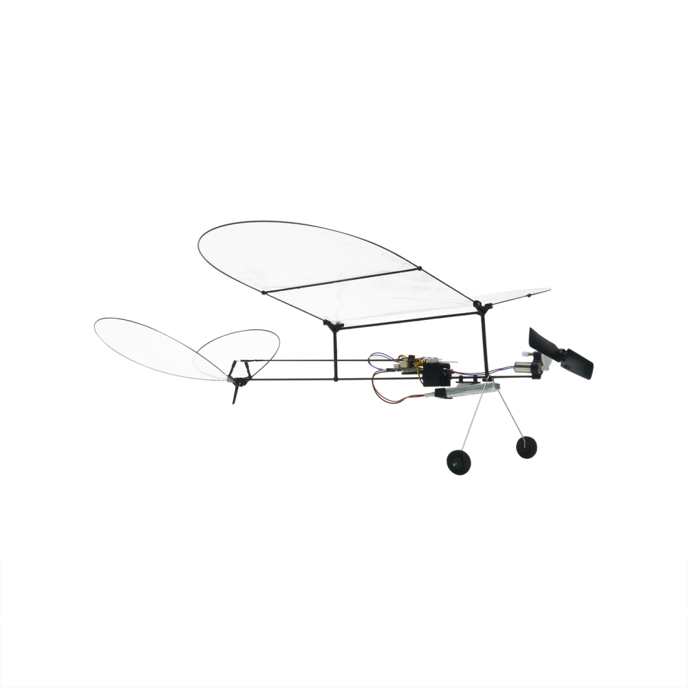 Butterfly V1-2024
