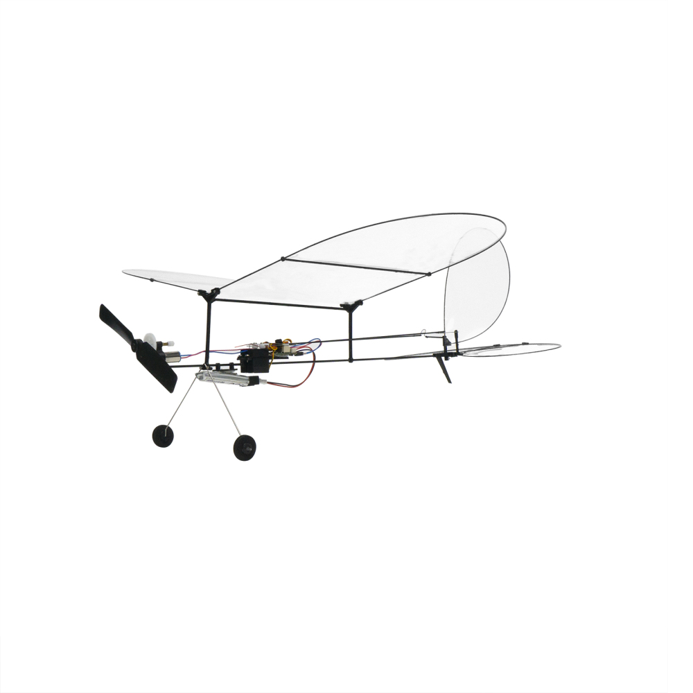 Butterfly T1-2024