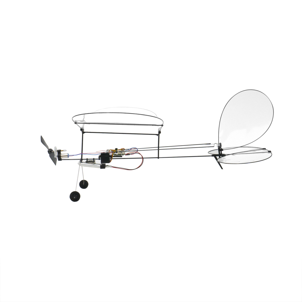 Butterfly T1-2024