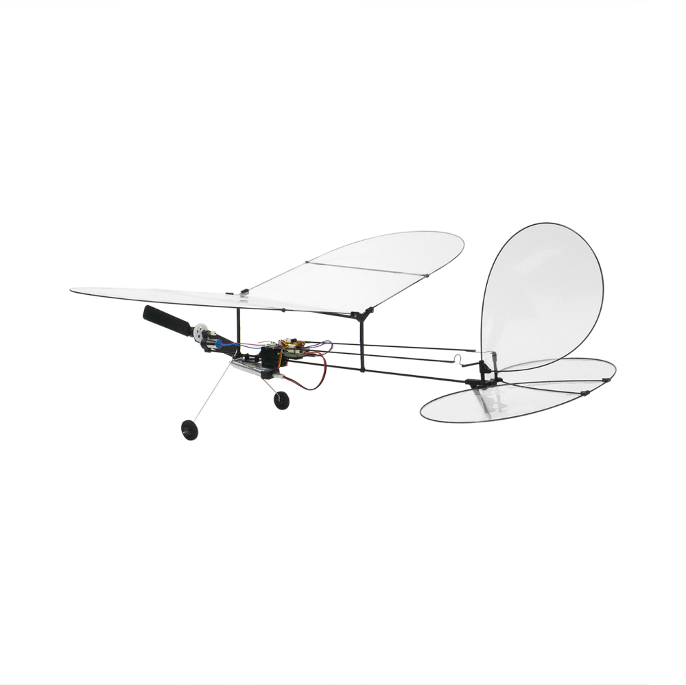 Butterfly T1-2024