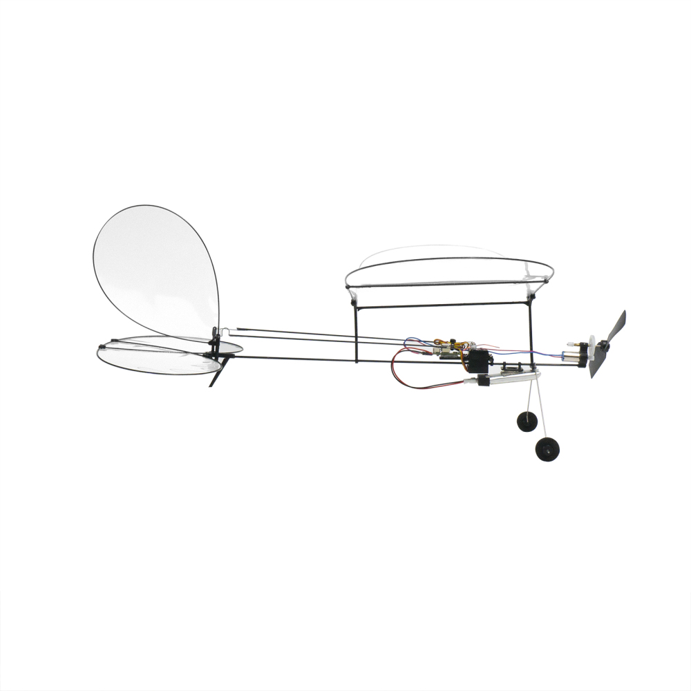 Butterfly T1-2024