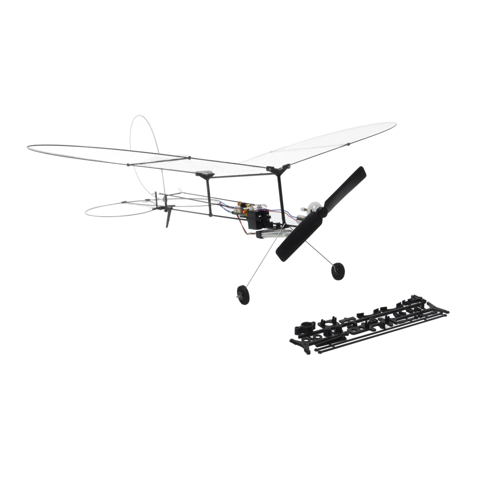 Butterfly T1-2024