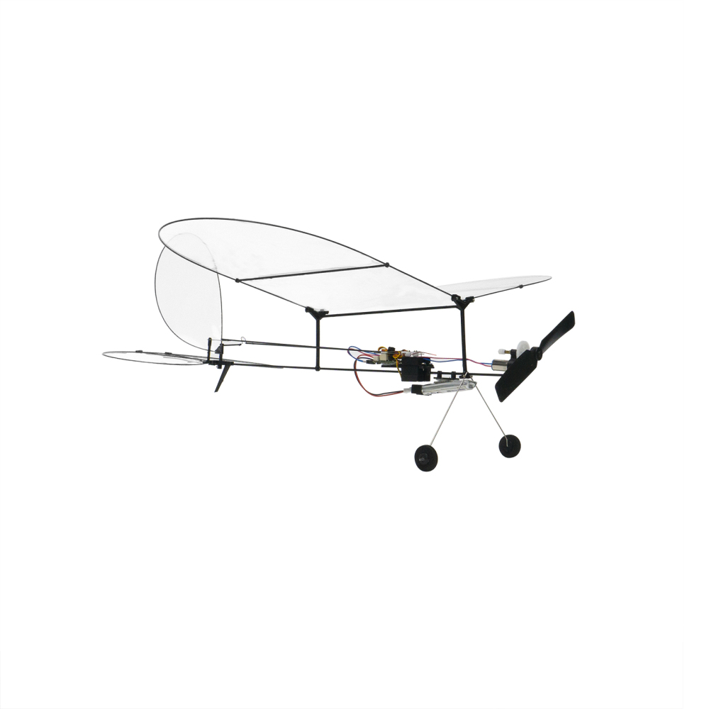 Butterfly T1-2024