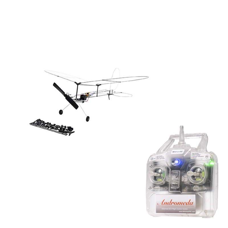 Butterfly T1-2024