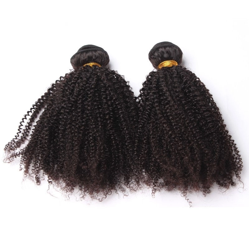 Best Website To Buy Hair Bundles Afro Kinky Curly Hair Weave 3 Bundles Natural Color