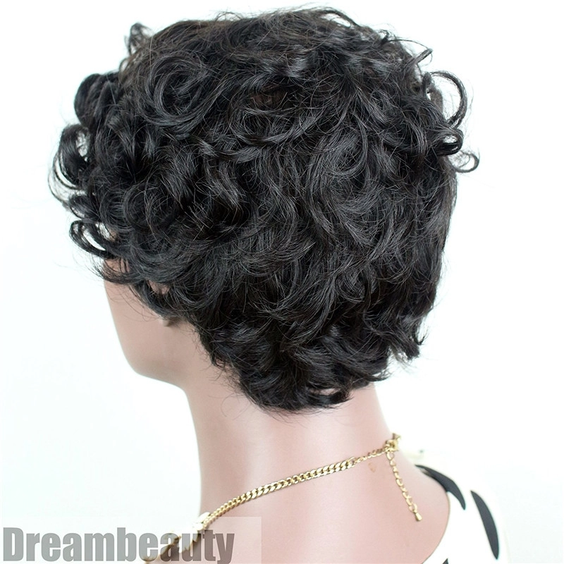 Brazilian Hair Full Wigs Short Curly Wigs Low Price Wig