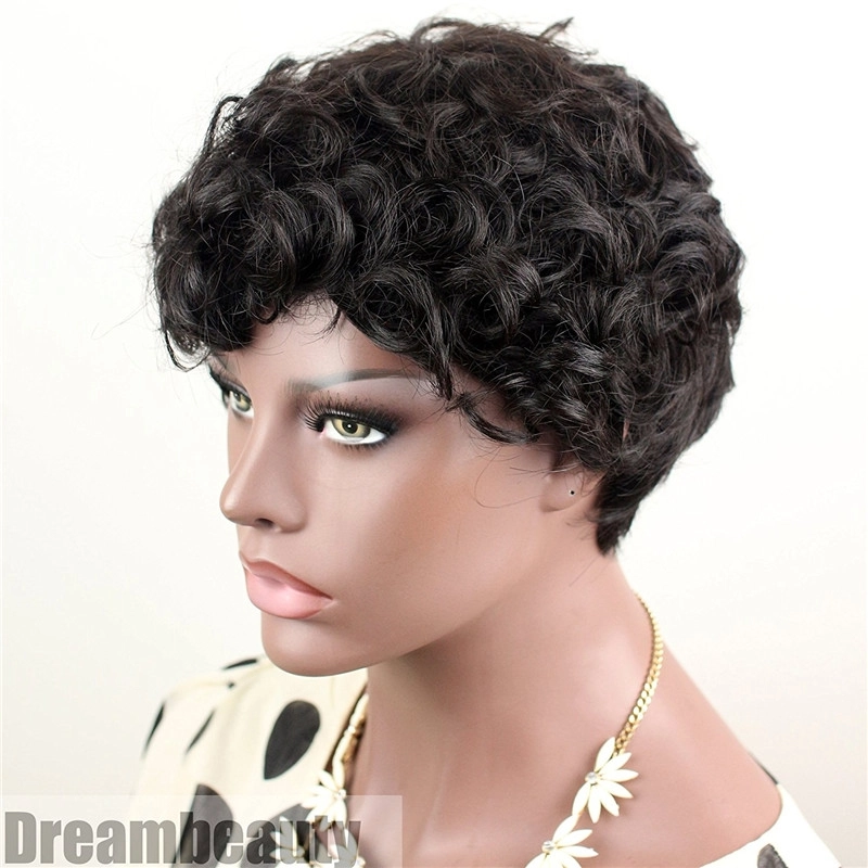 Brazilian Hair Full Wigs Short Curly Wigs Low Price Wig