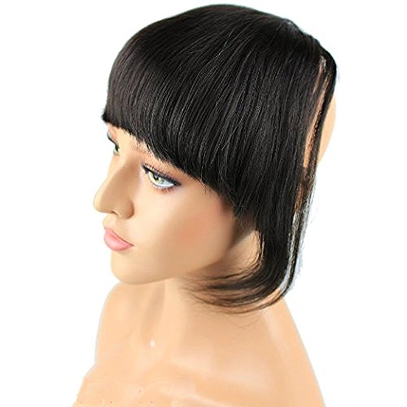 Clip-in Front Hair Bangs Full Fringe Short Straight Hairpieces Brazilian Virgin Human Hair Extensions for women 6-8inch (#2)