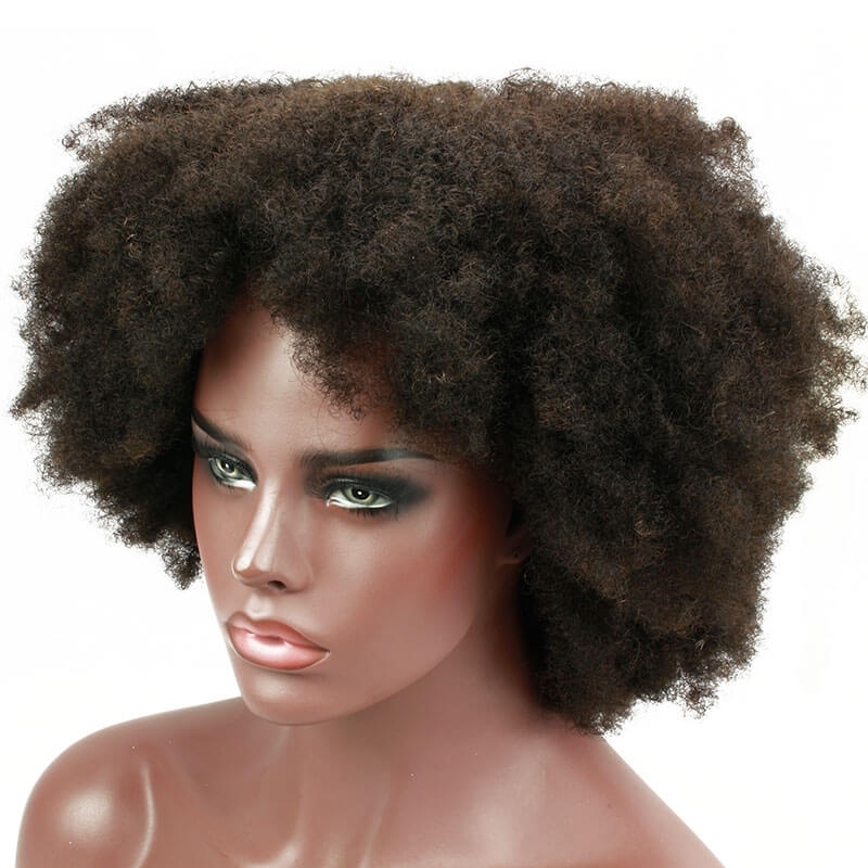 Afro Kinky Curly Brazilian Human Hair Lace Front Wig Pre Plucked Bleached Knots