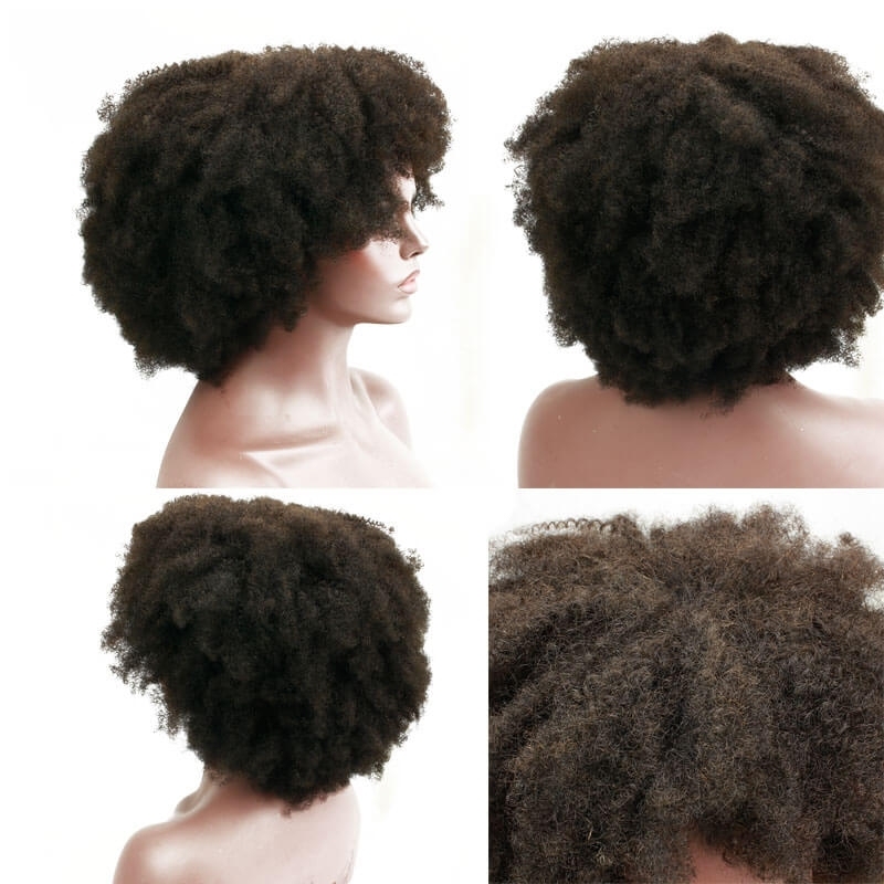 Afro Kinky Curly Brazilian Human Hair Lace Front Wig Pre Plucked Bleached Knots