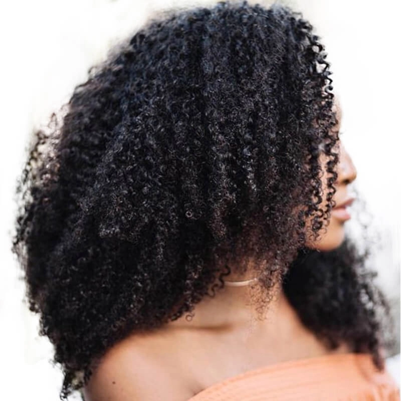 Afro Kinky Curly Hair Clip In Human Hair Extensions 4B 4C Human Natural Hair Clip Ins Brazilian Remy Hair