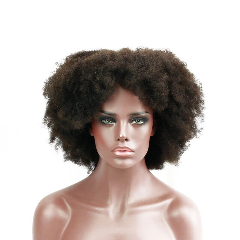 Afro Kinky Curly Brazilian Human Hair Lace Front Wig Pre Plucked Bleached Knots