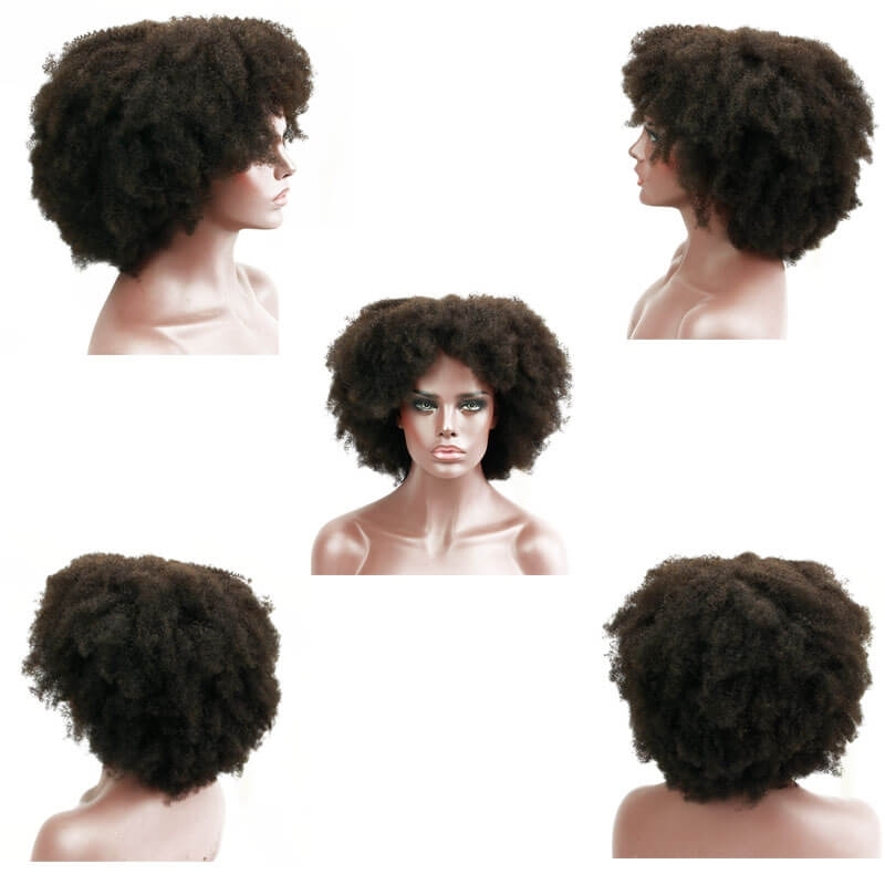 Afro Kinky Curly Brazilian Human Hair Lace Front Wig Pre Plucked Bleached Knots