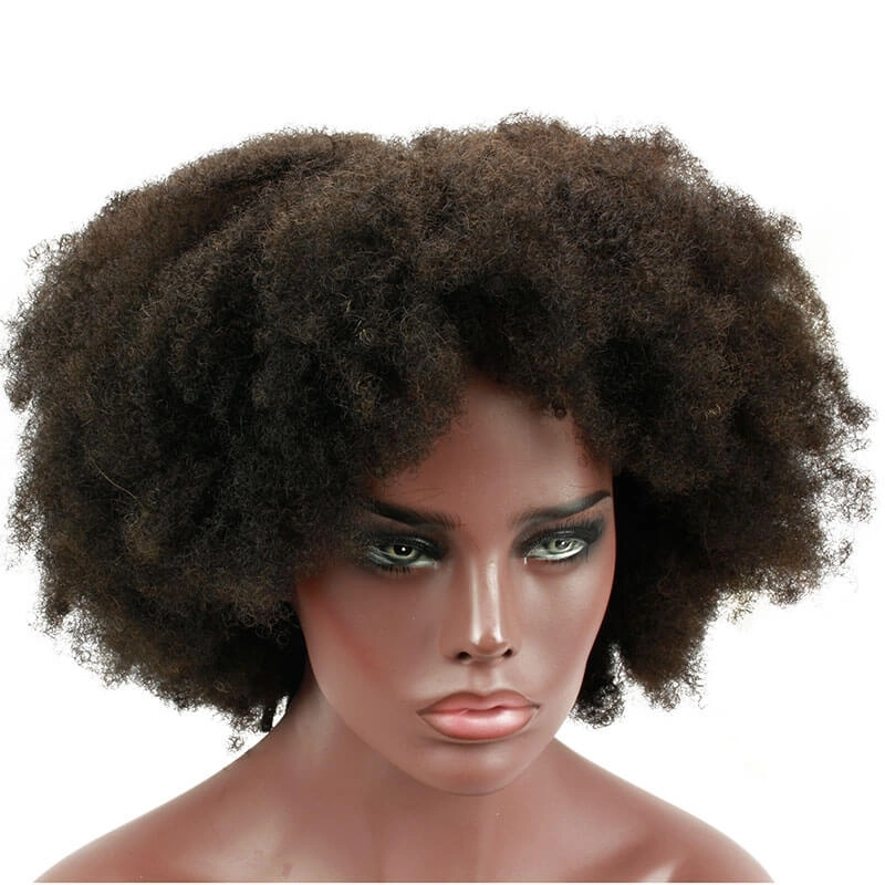 Afro Kinky Curly Brazilian Human Hair Lace Front Wig Pre Plucked Bleached Knots