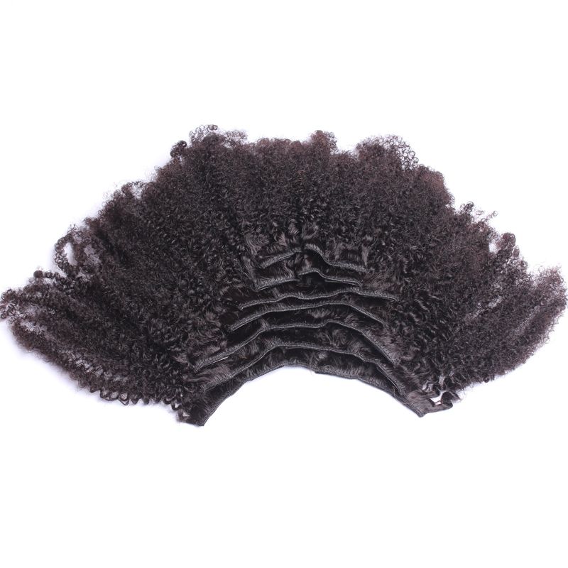 Afro Kinky Curly Hair Clip In Human Hair Extensions 4B 4C- Pwigs.com