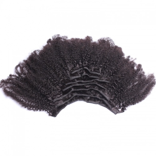 4B 4C Brazilian Afro Kinky Curly Clip In Human Hair Extensions Human Natural Color Hair Can Be Dyed